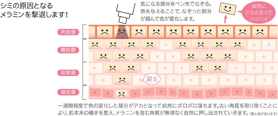 図説シミの原因となるメラミンを撃退します。